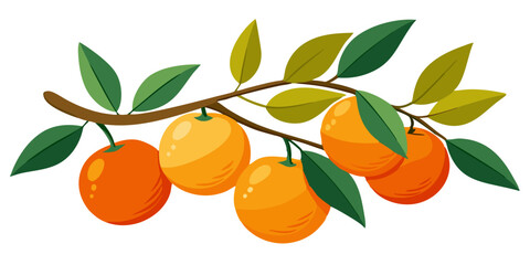 orange branch with leaves © Waliul