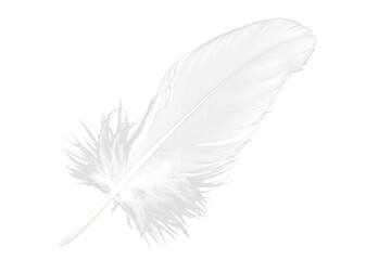 Obraz premium white feather isolated on white or transparent png