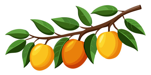 mango with leaves and branch