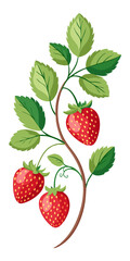 strawberry with leaves