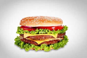 Tasty fresh Beef Burger, fasr food