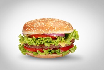 Tasty fresh Beef Burger, fasr food