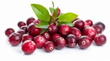 Cranberries isolated on a white background