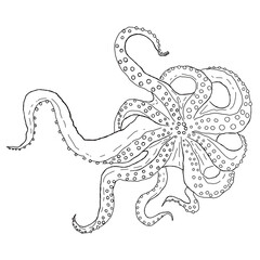minimalistic octopus illustration transparent background
