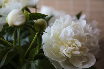 Blurred floral background. A bouquet of white peonies.
