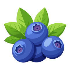 blueberries with leaves
