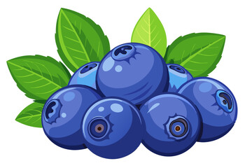 blueberries with leaves