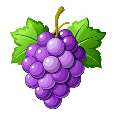 grapes isolated on white