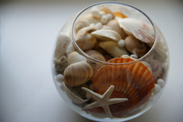 seashells in a glass