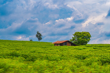 Rural landscape featuring a house surrounded by green fields, under a blue sky with fluffy clouds