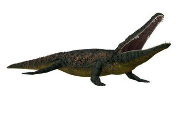 Permian Archegosaurus Amphibian - Archegosaurus was a carnivorous freshwater amphibian that lived in Europe during the Permian Age.