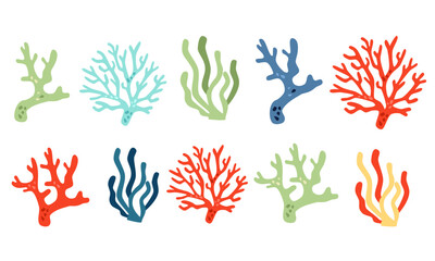 Vector collection of colorful corals. Underwater plants on white background . Vector illustration