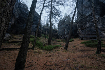 Obraz premium Gloomy and totally moody path lost in the foggy rocks with the best dark and mystic atmosphere in the north of Bohemia.