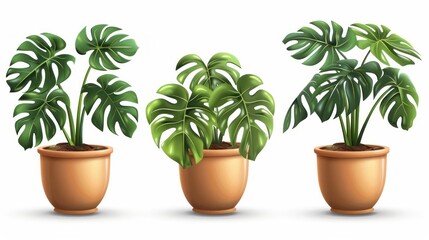 Obraz premium Three potted plants with green leaves sit in three different sized pots