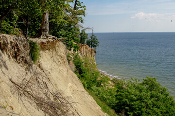 Landscape with a sandy cliff on a sunny summer day with the sea in the background.