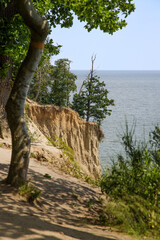 Landscape with a sandy cliff on a sunny summer day with the sea in the background.