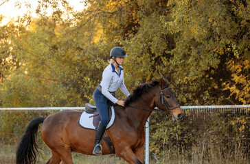 Women equestrian riding english bay horse