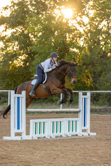 Equestrian riding over fences on bay horse morning light haze