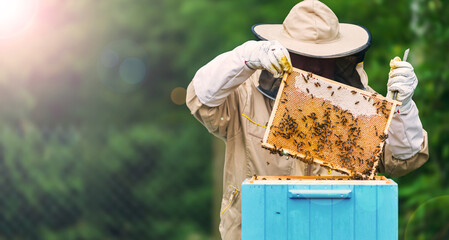Baner, pszczelarz trzymający plaster miodu z pszczołami. Miejsce na tekst. © malgo_walko