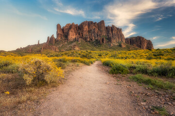Superstition Mountain Spring
