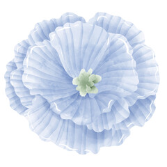 Watercolor Hand drawn illustration  blue flax flower floral wreath Decoration Illustration Clipart 
