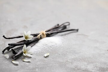 Vanilla pods, sugar, flowers and petals on gray textured table, closeup. Space for text
