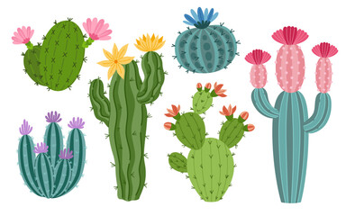 Set of cute cactus and succulents, vector illustration in flat style. Cartoon desert cacti