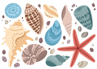 Set of seashells and starfish on white background. Cartoon clam, oyster and scallop shells. Tropical seashell. Float vector illustration.