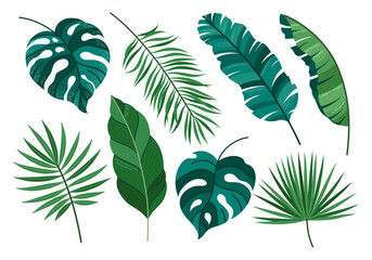 Vector set of tropical leaves. Hawaiian plants set. Wildlife green plants and jungle fresh foliage. Vector elements isolated on a white background. Hello summer set graphic elements in flat design.