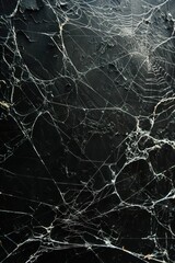 White Spider Web On Black Concrete Background