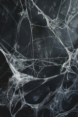 White Spider Web On Black Concrete Background