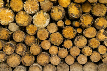 A stack of neatly stacked round firewood. Round firewood background. Wood texture background.