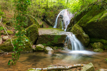 Fototapeta premium Cascadas en el bosque, Riera de Santa Llúcia, Olot, Cataluña