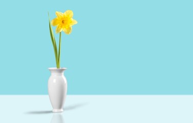 Beautiful fresh summer flowers in vase