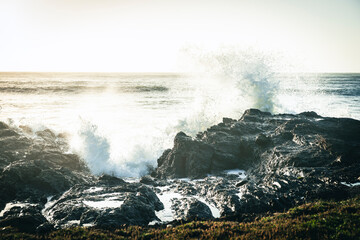 Faded old photo effect rocky foreshore in Wairarapa with crashing waves