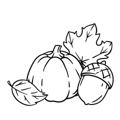 Autumn items illustration. Happy Thanksgiving Day and Halloween traditional symbols.