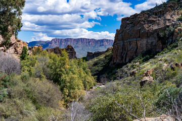 A beautiful oasis in the Arizona desert