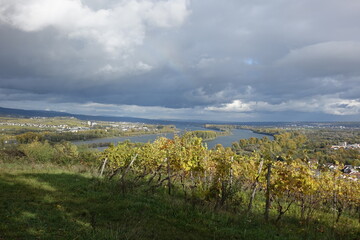 Ein Blick vom Rochusberg bei Bingen ins Rheintal