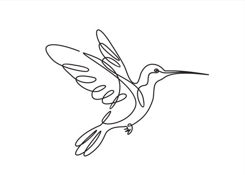recommend clip art: Continuous one line drawing of colibri. Humming bird. Abstract flying bird outline vector illustration.