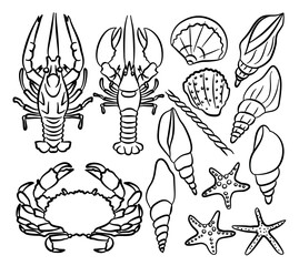 Ocean sea animals doodle outline set. Marine cartoon design crabs, seashell and starfishes. Nautical undersea vector icons