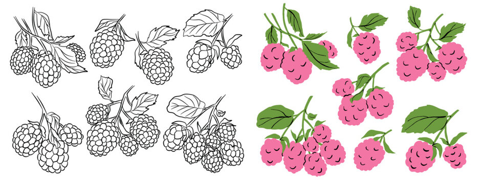 Drawn raspberry icon set. Old ink style and cartoon vector fruit sign for brochures, banners, restaurant and market menus
