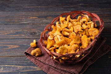 Fresh chanterelles in a brown wicker basket on a dark wooden background. Wild mushrooms