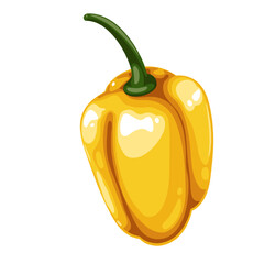 Rocoto pepper, cartoon spice and vegetable. Yellow whole hot bell pepper for very spicy Mexican food, cartoon vitamin and aroma healthy ingredient of pungent vegetarian dish vector illustration
