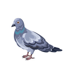 Perched common wood pigeon, cartoon bird of city street. Funny portrait of grey dove standing on ground or perch. Fauna and ornithology mascot cartoon pigeon with wings and beak vector illustration