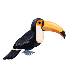 Toco toucan sitting, cartoon tropical bird. Exotic animal with yellow unusual strong beak, black body and wings, white throat. Rainforest fauna mascot, cartoon cute toucan vector illustration