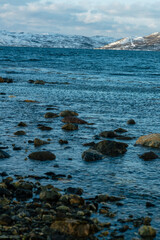 rocky coast in the morning