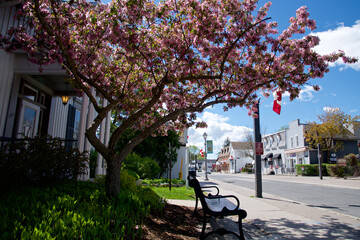 Main street in small town in Canada