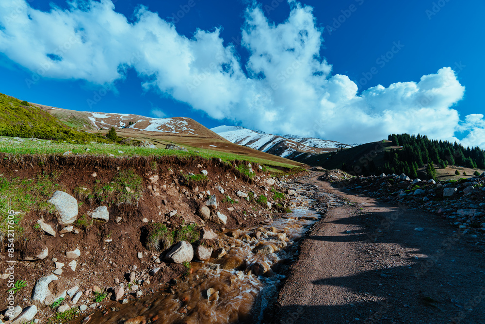 Poster Dirt road in high mountains in spring