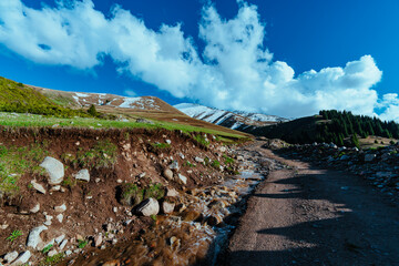 Dirt road in high mountains in spring