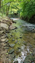 johannis river in the city district of Schildesche bielefeld